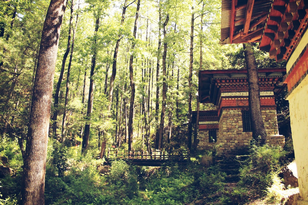 about-bg Peaceful forest scene with traditional Bhutanese architecture in Trongsa.